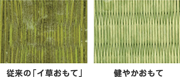 カビ抵抗性試験の画像